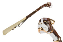 BOXER GOLD – Încălțător auriu cu tijă maro, cap de Boxer | Pasotti