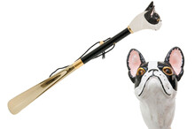 BULLDOG GOLD – Încălțător negru cu cap de bulldog realist | Pasotti