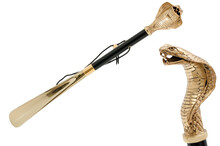 COBRA GOLD – Încălțător auriu cu detalii negre, cap de cobră | Pasotti