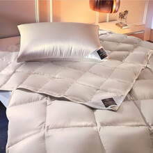 ARCTIC 200x220 – Pilota de vară 4.5 tog din puf de gâscă arctică | Brinkhaus