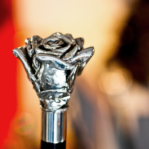 Incaltator negru cu argintiu Silver Rose