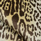 VELOUR LEOPARD – Catifea luxoasă Maison Nobilis cu motive de leopard