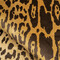 VELOUR LEOPARD – Catifea luxoasă Maison Nobilis cu motive de leopard