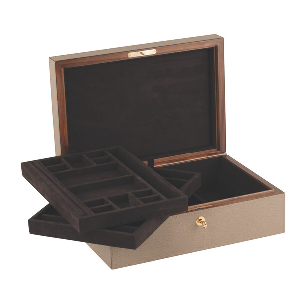 Caseta pentru bijuterii cu doua tavi, PLATINUM