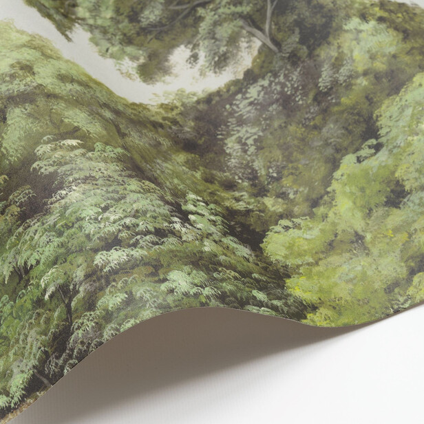 CANOPY Tapet panoramic – Pădure de pini și cer deschis