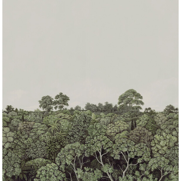 CANOPY Tapet panoramic – Pădure de pini și cer deschis