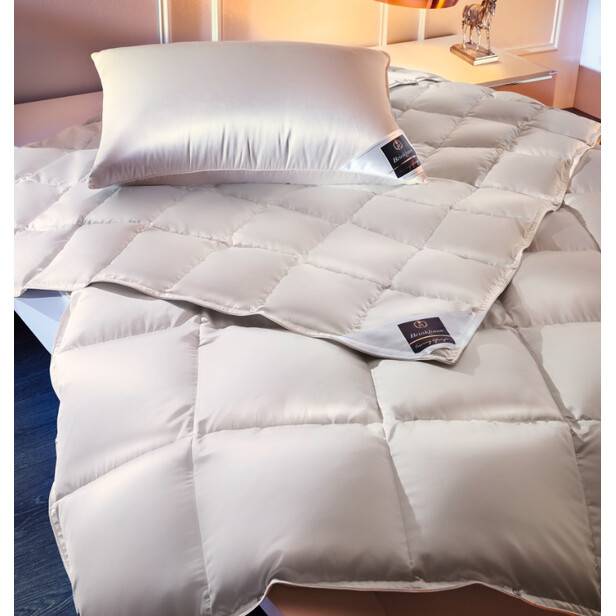 ARCTIC 65x65 – Pernă Moale Din Puf De Gâscă Polară Brinkhaus