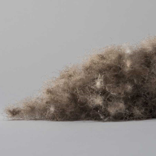 THE EIDER 200×200 - Pilotă de vară de lux Brinkhaus din puf natural Eiderdown