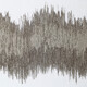 NORCIA - Perdea Jacquard Fil Coupé Cu Dungi Ondulate Și Contrast Opac-Transparent