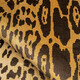 Tapiterie animal print VELOUR LEOPARD