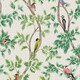 NETHERFIELD – Tapet Osborne & Little cu păsări de grădină pe ramuri verzi