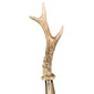 HORN OF ROE DEER – Încălțător din corn de căprior | Pasotti