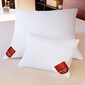 BAUSCHI LUX 50x70 – Set 2 perne tari cu suport ferm | Brinkhaus